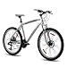 Produktbild 26" MOUNTAINBIKE ALU FAHRRAD CHRISSON TERIER 21 Gang SHIMANO weiss matt - 66,0 cm (26 Zoll)