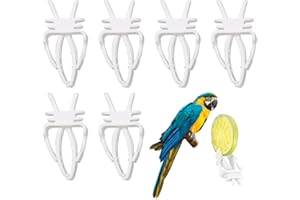 WUSJCOF 6 PCS Vogelkäfig Futterhalter, Vögel Haustier Futterspender Clips, Kunststoff Tintenfischhalter, Papageien Obst Gemüse Feeder Clip für Vögel, Hamster, Papageien, Kleintiere