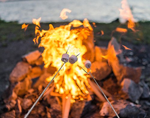 AONOKOY 5 Stücke Marschmallow Röstgabeln Grill Spieße Gabeln BBQ Marshmallow Röster Spieße Set Teleskopspieße Spieße für Kinder, 9.4-33.7 inch - 7