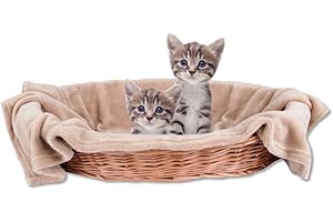 Bestlivings Couverture douillette pour animal de compagnie - Confortable et super douce - 90 x 140 cm - Beige - Marron clair