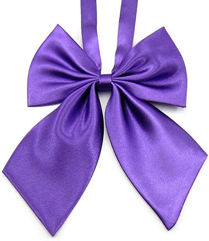 Student School of bow tie cravat-D