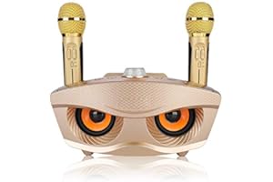 Bewinner Bezprzewodowy mikrofon Karaoke Przenośny głośnik karaoke na imprezę domową/Ręczny mikrofon Bluetooth KTV Głośnik karaoke KTV z dwoma mikrofonami dla rodziny KTV