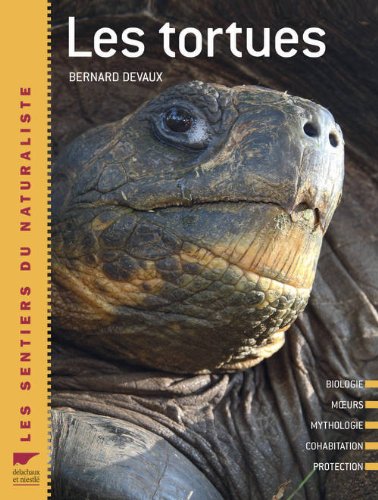 couverture de : Les tortues