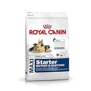 Royal Canin Maxi Starter Dog Food (15 Kg)