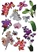 Produktbild Unbekannt XXL Wandtattoo / Sticker - Orchideen Blüten mit Stengel - Blüte Blumen - selbstklebend für Wohnzimmer und Deko Wandsticker Aufkleber Orchideenzweig Orchidee