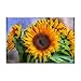 Produktbild GzHQ Gelbe Sonnenblumen Feld Bad teppiche frühling Landschaft Blume Meer mit gfreen blätter duschmatte 15,7x23,6 Zoll fußmatte für wohnkultur Bad Boden Teppich