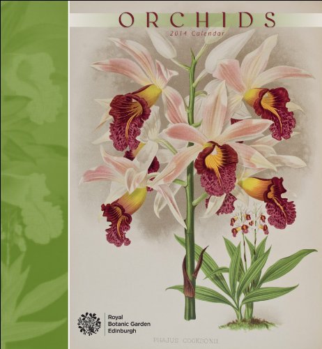 Download 2014 ORCHIDS CALENDAR Wall N414