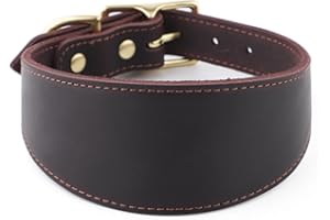 Snootiful Hound Leather Sighthound Collar | Fishtail Collar Ideal For Whippets, Greyhounds and Lurchers (Brown, 27-35cm)