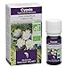 Produktbild Cypres 10 ml - cosbionat huile essentielle