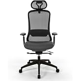 Seduna Ruben Plus Black Office Chair | Executive Chair (Black)