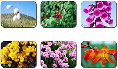 Bogcotton Gifts, Placemats , Wild Flower Design, Multi pack, Cork Backed Designer Tablemats, set of 6, size of placemat 32cmx 23cm.