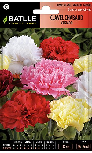 Semillas de Flores - Clavel Chabaud Doble variado - Batlle