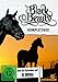 Black Beauty, Komplettbox [8 DVDs]
