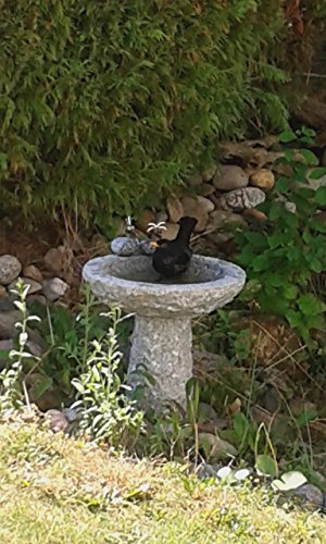 Vogelbad aus Granit mit Fuß (4 Steinvögel am Rand sitzend) - 6