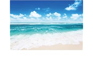 Ttincceer 300x200cm Sommer Seaside Kulisse Wellen Blau Himmel Weiß Wolken Fotografie Hintergrund Tropisch Hawaii Urlaub Fotografie Kulisse Photo Booth Studio Requisiten