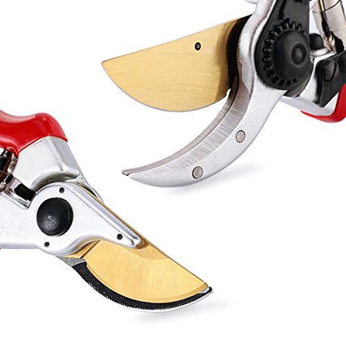 Ratschen Amboss Gartenschere EULE mit Klinge aus japanischem SK5 Stahl Baumschere zum Schneiden von TROCKENEN und SCHWER zu schneidendem Holz in 3 SCHRITTEN. Mit ZUFRIEDENHEITS-Garantie 21 Tagen ! - 4