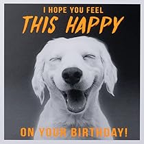 Edition Seidel Biglietto di auguri di compleanno quadrato con busta. Happy Birthday Billet animale con scritta in lingua tedesca (GQ177 SW024 Edition Seidel Biglietto di auguri di compleanno quadrato con busta. Happy Birthday Billet animale con scritta in lingua tedesca (GQ177 SW024