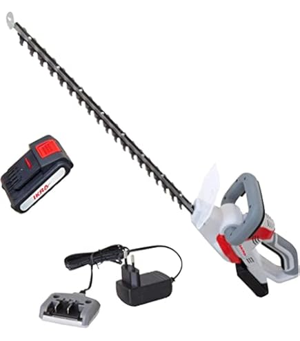 Caricabatterie Rapido IKRA 20V - Per Attrezzi Da Giardino A Batteria, Con LED - Foto 8