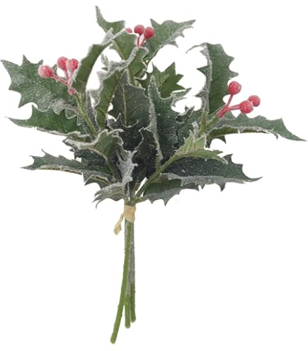 mucplants Ilexzweig Grn-Wei mit roten Beeren Hhe 52cm Kunstzweig Knstlicher  Ilex Kunstblumen : Amazon.de: Kche, Haushalt & Wohnen