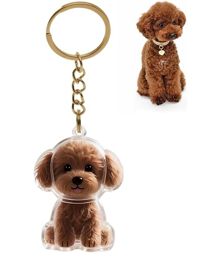 KAZMUGZ Portachiavi con scritta in inglese Border Terrier, in metallo di alta qualità, portachiavi a doppia faccia, idea regalo per cuccioli, animali domestici., Multicolore, Taglia unica