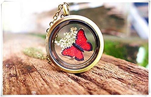 Red Butterfly Necklace, Dried Flower Locket Necklace, Insect Jewellery Bug Jewellery Woodland Jewellery Botanical Garden Gifts for Gardeners