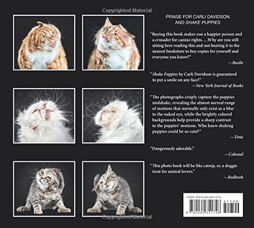 Book's Cover of Shake Cats