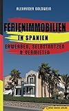 Image de Ferienimmobilien in Spanien: Erwerben, Selbstnutzen & Vermieten
