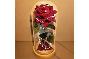 UNIQICON Bella e la Bestia, Rosa Stabilizzata Eterna in Vetro, Fiori Artificiali Realistici, Regalo per Donna Anniversario,Fidanzata,Festa della Mamma,Fiore Infinita Immortale,Regali Lei Amica Mamma Idea Donne