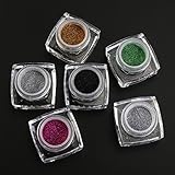 RUIMIO Glitzer Lidschatten Augen und Nagel Glitzer Puder  inkl 2 Kleber  mit Lidschattenpinsel 6 Farben - 