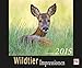 Wildtier Impressionen Kalender 2015 by