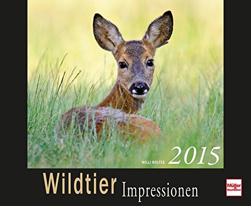 Wildtier Impressionen Kalender 2015