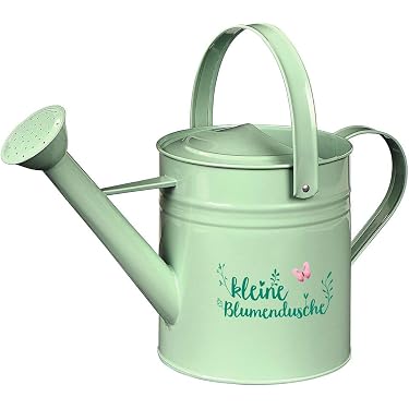 ufopflanze giftig Ufopflanze (Pilea Peperomioides) online kaufen – MyZimmerpflanze.de main image 0