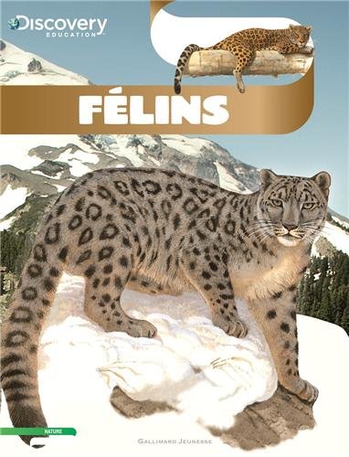 couverture de : F&eacute;lins