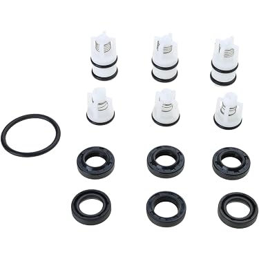 Kit Valvole Di Controllo Per Pompa Idropulitrice RMW RMV Husky HU80722 - Ricostruzione