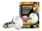 Exo Terra Intense Basking Spot Tageslicht-Wärmelampe 50W