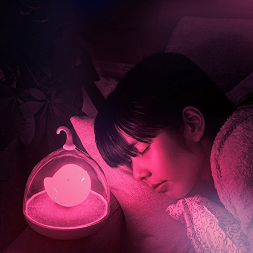 Signstek dimmbar Sensor Nachttischlampe Niedlich Vögelkäfig Nachtlicht USB aufladbar LED-Lampe mit USB-Ladekabel für Baby Kinder - 2