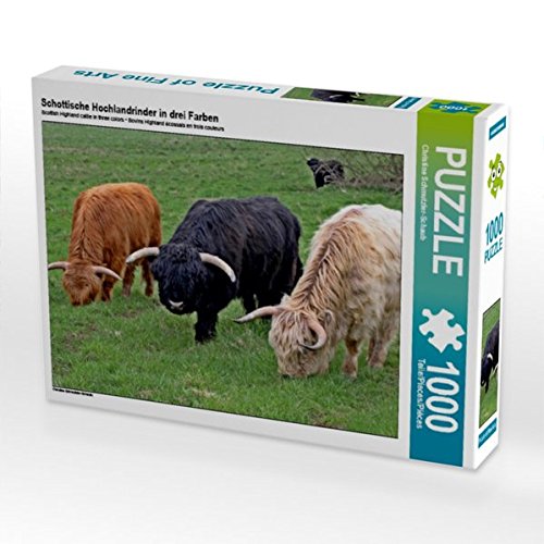 Preisvergleich Produktbild Schottische Hochlandrinder in drei Farben 1000 Teile Puzzle quer