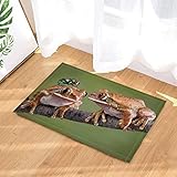 Alfombra de baño Frog de CDHBH, diseño de Rana y Mosca en la Rama, Antideslizante,...