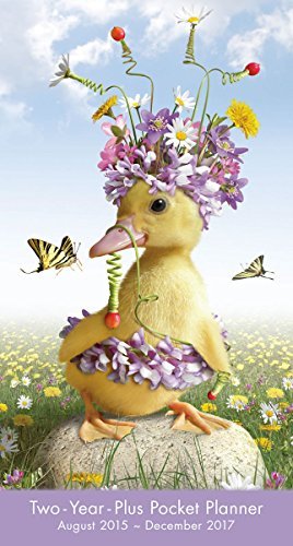 Duck by Chiara 2016 Checkbook/2 year pocket planner Calendar by Chiara Castellini (2015-06-15)