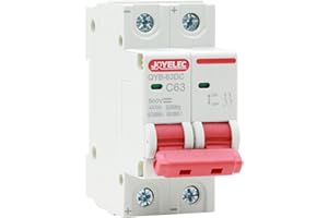 JOYELEC 2P Interruttore Magnetotermico，63A Fotovoltaico DC Mini Interruttore 600V，4.5kA Interruttore di Sicurezza con rilascio di Sovracorrente con Protezione da Sovraccarico e Protezione da Cortocircuito