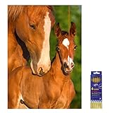 Material: Chromo-Duplexkarton Zeichenmappe mit Gummizugverschluss Pferde für DIN A3 inkl. 6er Pack Buntstifte, Sammelmappe, Mappe, Farbstifte
