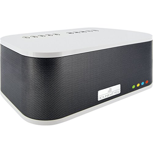 Preisvergleich Produktbild Schwaiger Aktiv Lautsprecher WiFi 30 Watt Weiß / Schwarz