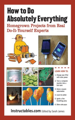 Télécharger How to Do Absolutely Everything: Homegrown Projects from Real Do-It-Yourself Experts (English Editio PDF