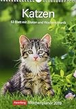 Katzen - Kalender 2019: Wochenplaner, 53 Blatt mit Zitaten und Wochenchronik by 