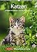 Katzen - Kalender 2019: Wochenplaner, 53 Blatt mit Zitaten und Wochenchronik by 