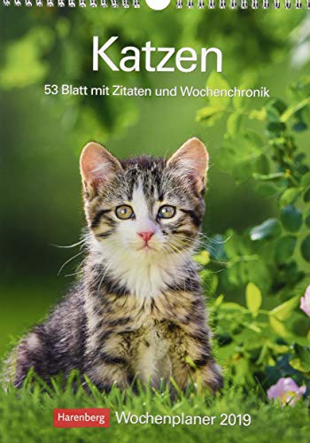 Katzen - Kalender 2019: Wochenplaner, 53 Blatt mit Zitaten und Wochenchronik