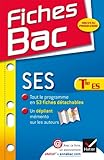 Fiches Bac SES Tle ES: Fiches de cours - Terminale ES