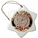 Produktbild Merlin65Scott Cape rüsselhündchen, Bushmans Kloof, South africa-af42 rbe0002 - Ralph H. Bendjebar - Schneeflocke Ornament, Porzellan, 3 Zoll