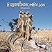 Erdmännchen (BK) 226619 2019: Broschürenkalender mit Ferienterminen. Lustige Bilder der witzigen kleinen Tiere. 30 x 30 cm by 