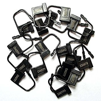 Preisvergleich Produktbild Seal Lock 10 Einweg-Verschlüsse Schlösser für Keuschheitskäfige (Schwarze)